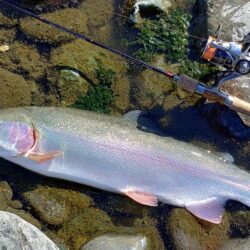 ラインブレイク多発 ～岡崎トラウトポンド～